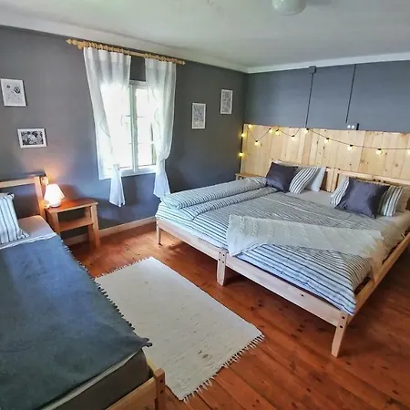 Počitniška hiša Alpine House 1100
