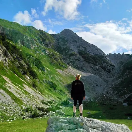 Počitniška hiša Alpine House 1100