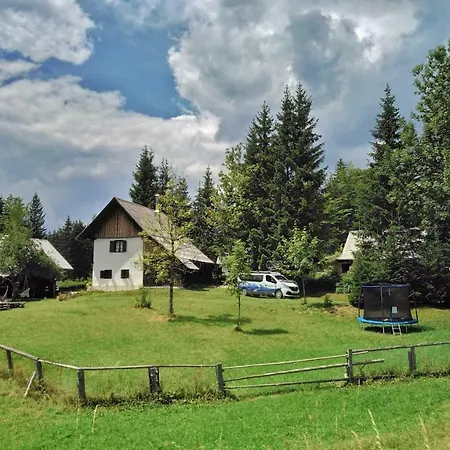 Počitniška hiša Alpine House 1100